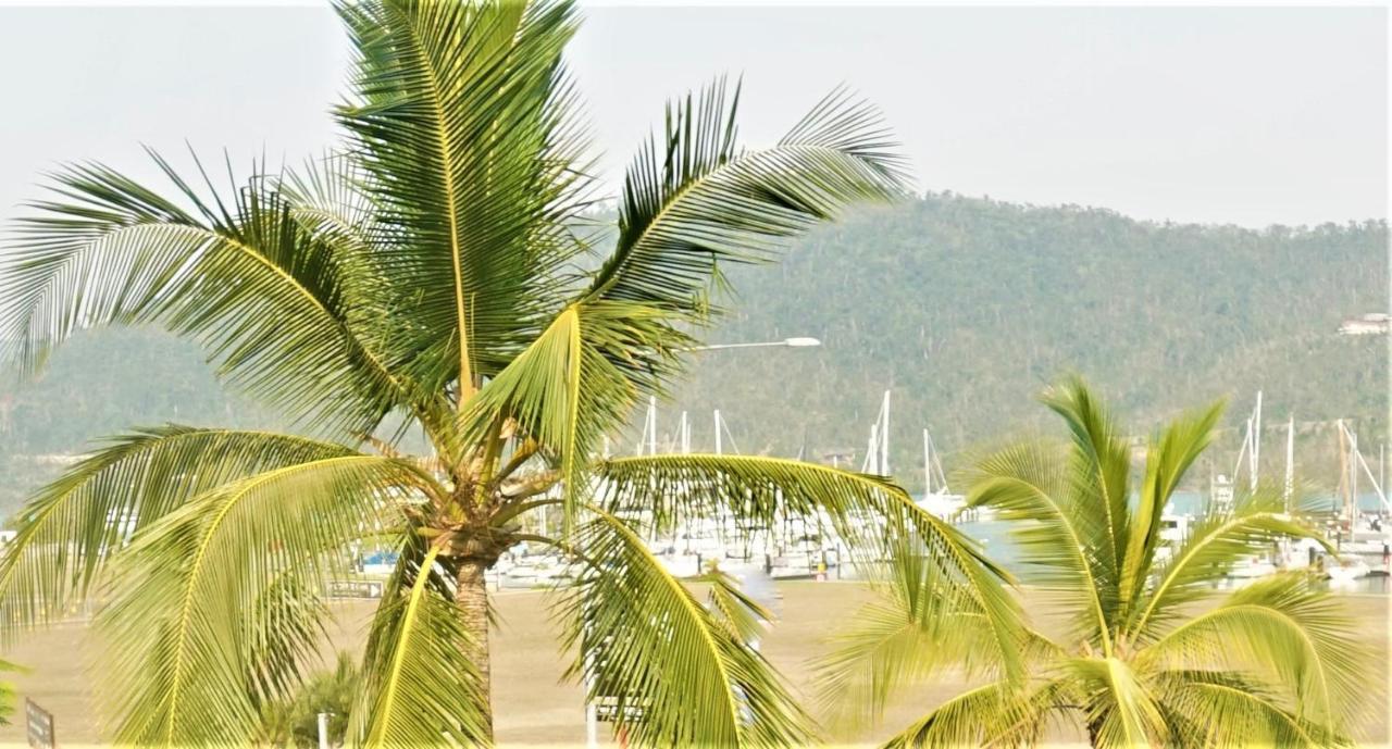 แอร์ลี ซีวิว อพาร์ตเมนต์ส Aparthotel แอร์ลีบีช ภายนอก รูปภาพ